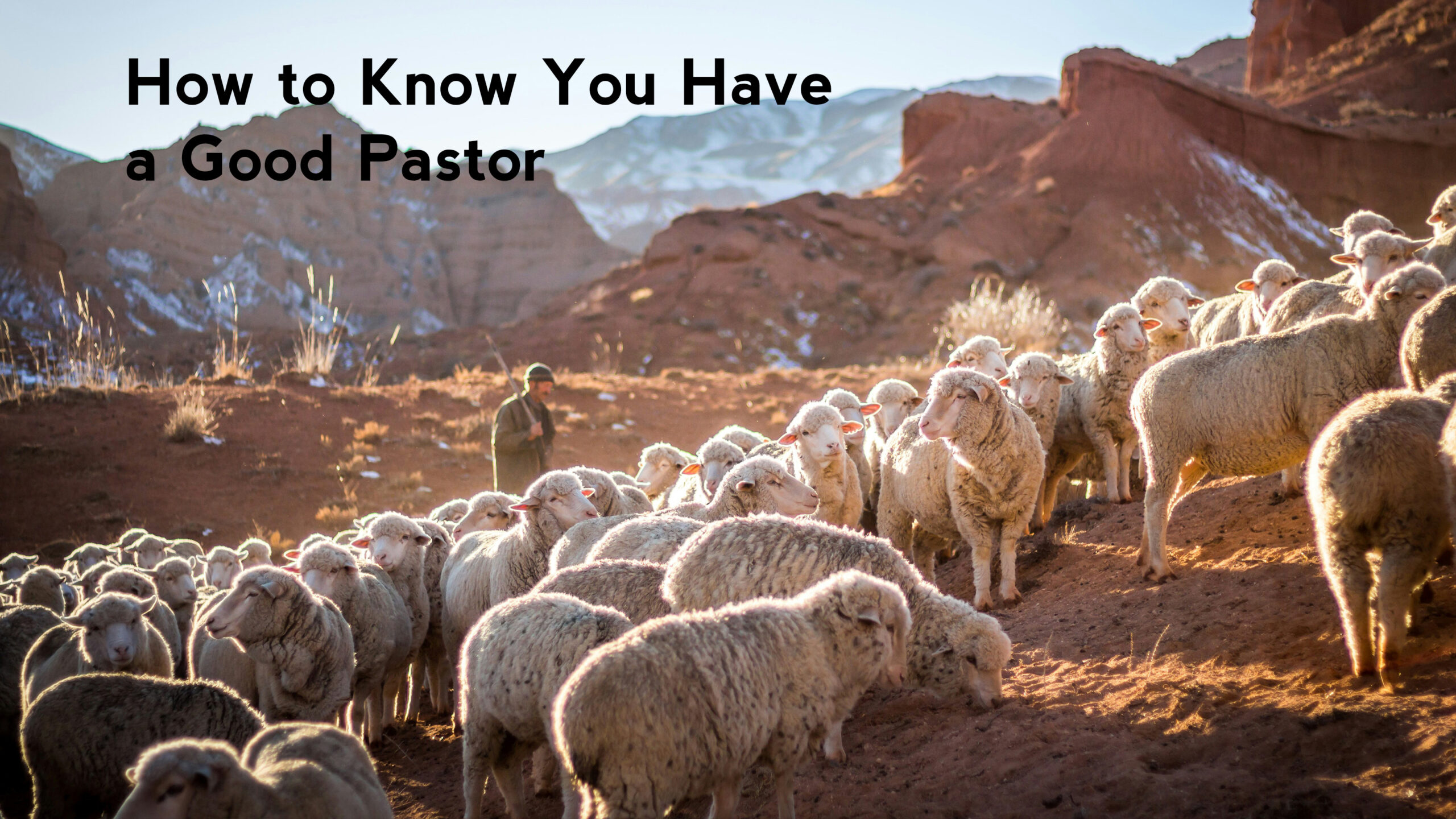 How to Know You Have a Good Pastor