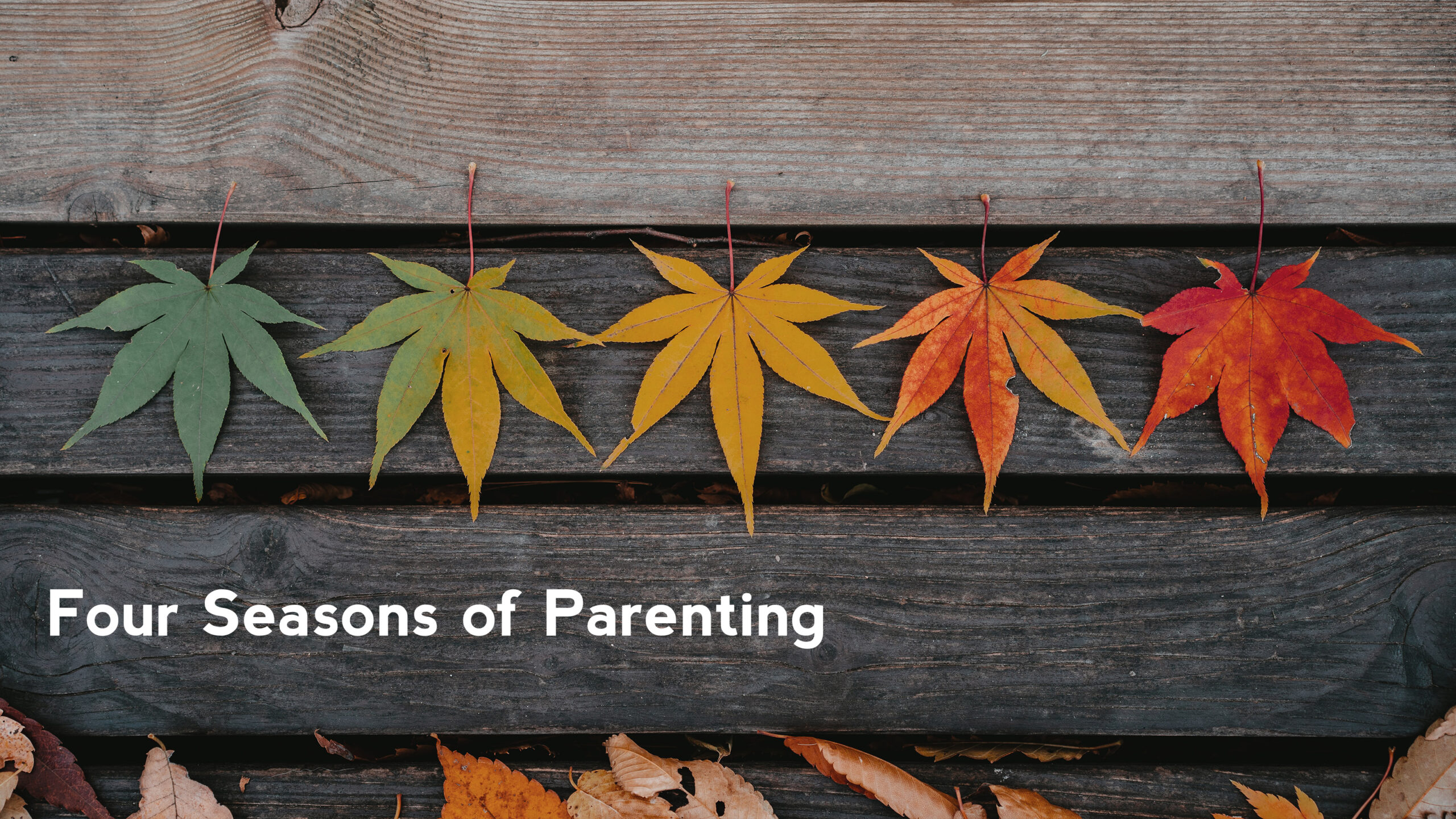 Four Seasons of Parenting